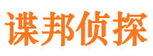 田阳市婚外情调查